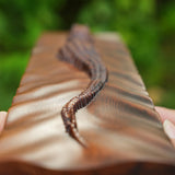 Crocodile Wall Mounted Wooden Wall Art - BGCOPPER