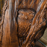 Owl in tree wood carving - Wild Life Wall Art Lover Gift - BGCOPPER
