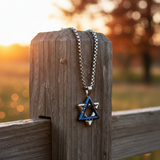 Blue Star - Wooden Fence Sunset