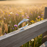 Outdoor - Rustic Fence Wildflowers