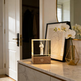 St. Francis of Assisi  Crystal Lamp: A Beacon of Peace & Creation
